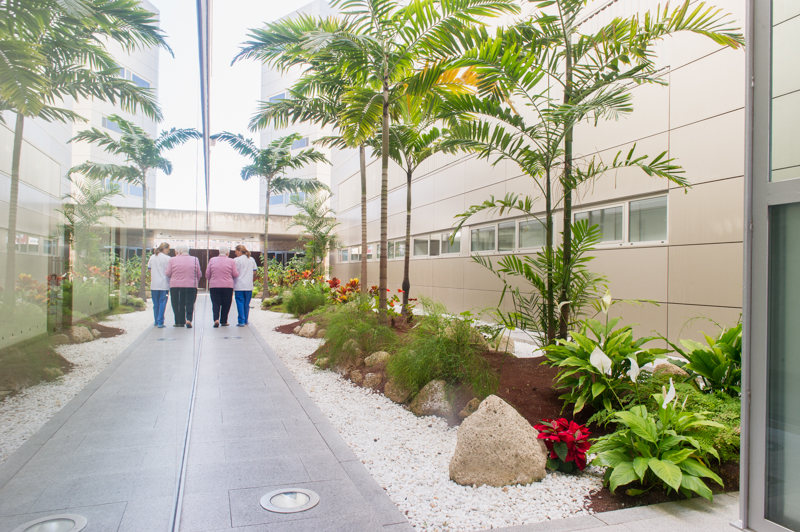 CENTRO SOCIOSANITARIO SANTA CRUZ