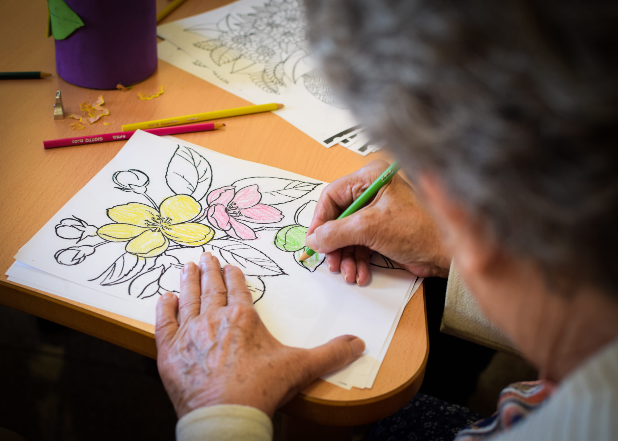 CENTRO SOCIOSANITARIO FASNIA